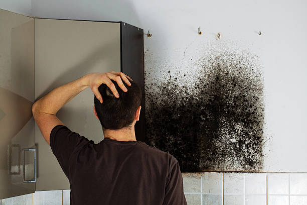 Best Mold Testing  in Mccook, NE