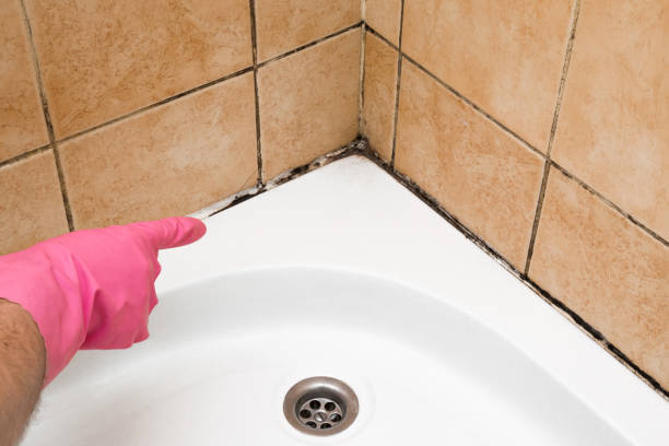 Best Emergency Mold Removal  in Mccook, NE